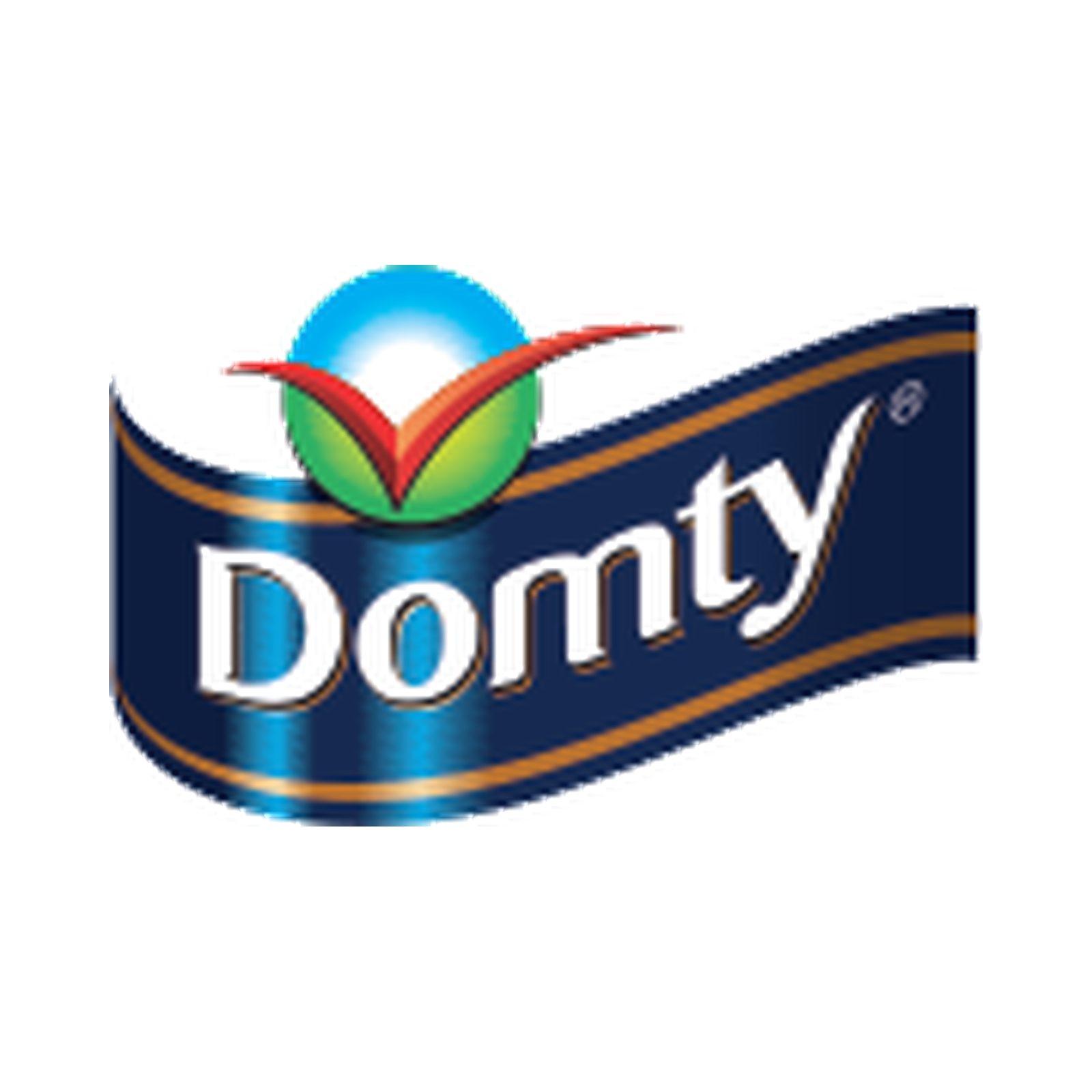 Domty